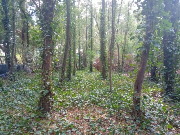 LOTE EN EL BARRIO SOSIEGO.